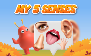 My 5 sence  game